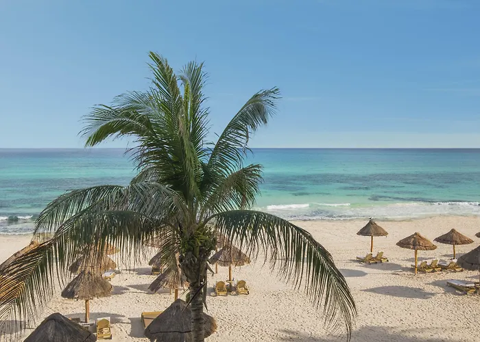 Resort Joia Paraiso By Iberostar (adults Only)